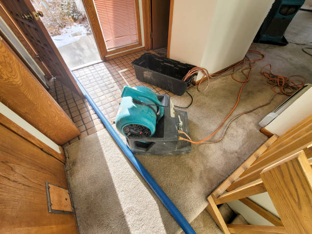 Best Residential water damage restoration  in Mokuleia, HI