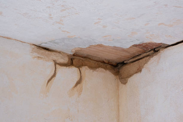 Best Professional water damage repair  in Mokuleia, HI