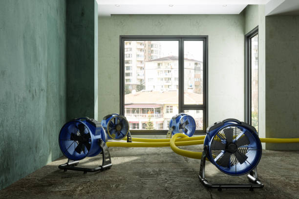 , HI Water damage restoration Company